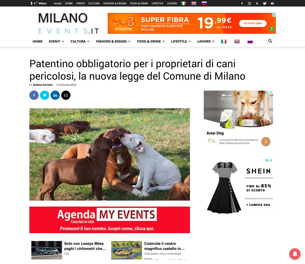 foto Pitbullreserve rubata da milanonews su articolo patentino cani